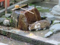 IMG_1141.JPG